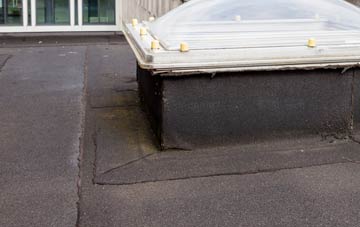 disadvantages of Moss Edge flat roofs