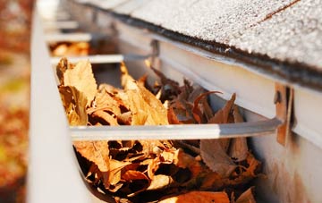 Moss Edge gutter cleaning companies