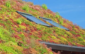 Moss Edge living roof systems