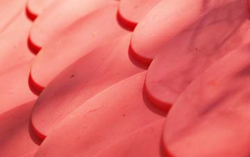 Moss Edge plastic roof costs