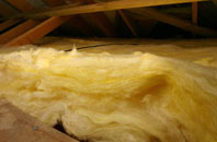 Moss Edge pitch roof insulation